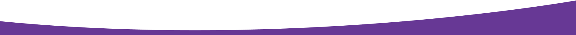Rawjo-Purple-Curve-Bottom